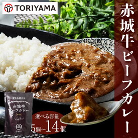 【ふるさと納税】赤城牛ビーフカレー 200g 中辛 容量が選べる レトルト食品 常温保存 詰め合わせ 一人暮らし F4H-0059var