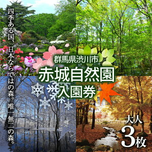 yӂ邳Ɣ[Łzԏ鎩R  `Pbg ꌔ Rώ@ ӂ邳 ̋ [ Qn as F4H-0082