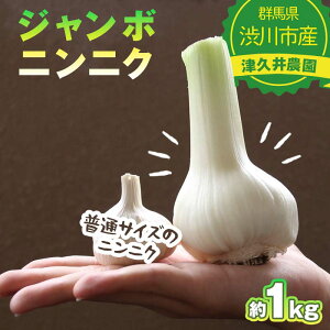 yӂ邳Ɣ[Łz W{jjN 1kg   Hi F4H-0521
