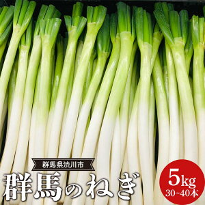 yӂ邳Ɣ[Łz Qn̂˂ 5kg(30`40{) Qn as F4H-0542