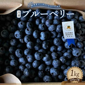 【ふるさと納税】 冷凍ブルーベリー1kg【5年連続最高金賞受賞 群馬県ブルーベリー品評会2021~2025年】 化学合成農薬 除草剤不使用 フルーツ 果物 F4H-0688