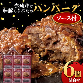 【ふるさと納税】赤城牛と和豚もちぶたのハンバーグ 6個詰め合せ（ソース付き） セット レトルト 食品 湯せん 湯煎 一人暮らし F4H-0838