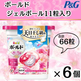 【ふるさと納税】ボールド洗濯洗剤ジェルボール4D 華やかプレミアムブロッサムの香り11粒入り×6個(合計66粒)【1610081】