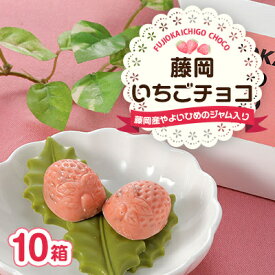 【ふるさと納税】藤岡いちごチョコ【配送不可地域：離島】【1626671】