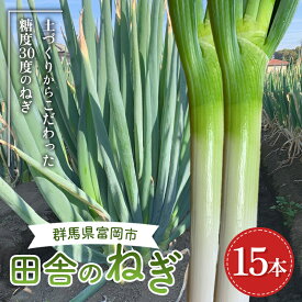 【ふるさと納税】 田舎のねぎ（15本） 糖度30 長ネギ 長ねぎ 長葱 ねぎ ネギ 有機肥料 野菜 食品 F21E-023