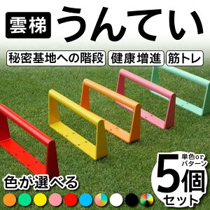 yӂ邳Ɣ[Łz_iĂj5Zbg FIׂ _ EeC N Ni _CGbg ؃g 閧nւ̊Ki F21E-257
