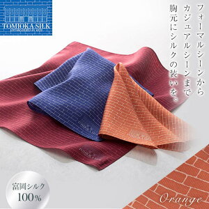 yӂ邳Ɣ[ŁzsYVN100%txVN |Pbg`[t K (IW) VN  IW 蕨 Mtg Y F21E-322