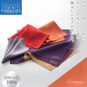 yӂ邳Ɣ[ŁzsYVN100%txVN |Pbg`[t v[ (IW) IW n VN  t@bV 蕨 Mtg Y F21E-325