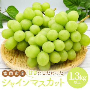 yӂ邳Ɣ[Łz ÂɂxsYVC}XJbg 1.3kgȏ VC}XJbg }XJbg Ԃǂ uhE   ʕ t[c Hi F21E-022