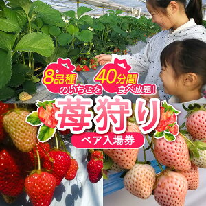 yӂ邳Ɣ[Łz c 䕎yAꌔ(2l) Hו  c yA ꌔ 2   C`S t[c ʕ ̌ F21E-083