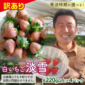 【ふるさと納税】 ＜訳あり品＞ 群馬県産白イチゴ「淡雪」(各220g以上×4パック)【選べる発送時期】 小粒 訳あり 白いちご 淡雪 群馬県産 苺 イチゴ 淡雪 詰合せ 果物 フルーツ 食品 F20E-726