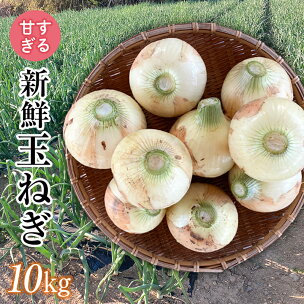 ＜2026年発送 先行予約＞甘すぎる新鮮玉ねぎ 10kg ...