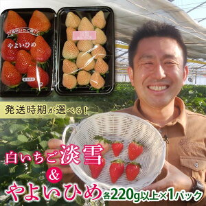 yӂ邳Ɣ[Łz QnYZbg 悢Ђ߁EW၄yIׂz (e220gȏ×1pbN) QnY IWii   C`S 悢Ђ C`S W Hה Z