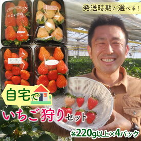 【ふるさと納税】 自宅でいちご狩りセット ＜淡雪・赤い苺3種類＞【発送時期が選べる】 (各220g以上×4パック) 群馬県産 オリジナル品種 いちご 苺 イチゴ 白いちご 淡雪 食べ比べ セット 詰合せ 果物 フルーツ 食品 F20E-723