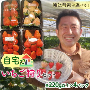 yӂ邳Ɣ[Łz łZbg WEԂ3ށyIׂz (e220gȏ×4pbN) QnY IWii   C`S  W Hה Zbg l