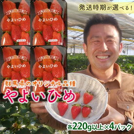 【ふるさと納税】 群馬県産いちごセット＜やよいひめ4パック＞【選べる発送時期】(各220g以上×4パック) いちご やよいひめ 群馬県産 オリジナル品種 苺 イチゴ セット 詰合せ 果物 フルーツ 食品 F20E-724