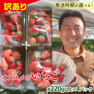 yӂ邳Ɣ[Łz 󂠂i QnYIXX 4i(e220gȏ×4pbN)yIׂ锭z  󂠂 QnY   C`S Hה Zbg l ʕ t[c Hi F2