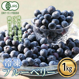 【ふるさと納税】 ＜有機JAS認定＞ 冷凍ブルーベリー (1kg) ブルーベリー JAS認定 農薬不使用 有機栽培 冷凍 フルーツベリー くだもの 果物 食品 F20E-848