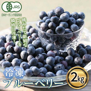 yӂ邳Ɣ[Łz L@JASF聄 Ⓚu[x[ (2kg) u[x[ JASF _sgp L@͔| Ⓚ t[cx[  ʕ Hi F20E-849