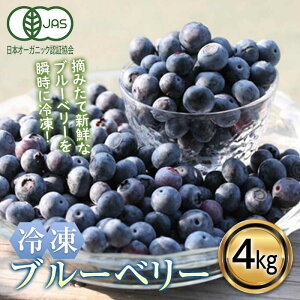 yӂ邳Ɣ[Łz L@JASF聄 Ⓚu[x[ (4kg) u[x[ JASF _sgp L@͔| Ⓚ t[cx[  ʕ Hi F20E-850