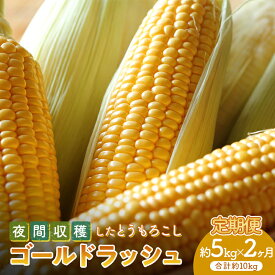 【ふるさと納税】 ＜2026年先行予約＞【定期便】夜間収穫したとうもろこし ゴールドラッシュ (各約5kg)《2ヶ月連続》 2L トウモロコシ とうもろこし コーン ゴールドラッシュ 定期便 野菜 食品 F21E-068