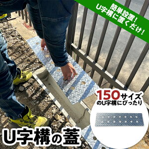 yӂ邳Ɣ[ŁzU\̊W ȒPݒu u ӂ t^ bL dグ  ra H F21E-074