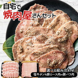 yӂ邳Ɣ[Łz eIׂ ŏēZbg ^ 300g ؃[X 500gij ؃o 500gij ē Ă BBQ Lv t Ⓚē  XCX Ⓚ  ؓ
