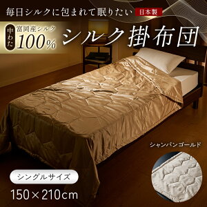 yӂ邳Ɣ[Łz uVNɕ܂Ė肽vy킽 xYVN100z VN|zciVOTCYj VN  蕨 Mtg Y F21E-431