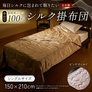 yӂ邳Ɣ[Łz uVNɕ܂Ė肽vy킽 xYVN100z VN|zciVOTCYj VN  蕨 Mtg Y F21E-431