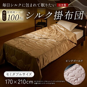 yӂ邳Ɣ[Łz uVNɕ܂Ė肽vy킽 xYVN100z VN|zciZ~_uTCYj VN  蕨 Mtg Y F21E-434