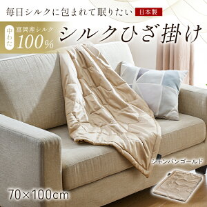 yӂ邳Ɣ[Łz uVNɕ܂Ė肽vy킽 xYVN100z VNЂ| VN  蕨 Mtg Y F21E-446