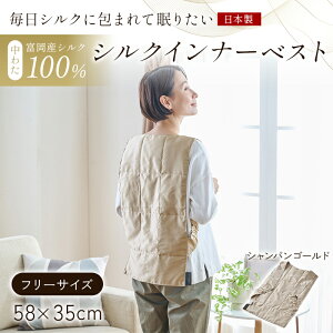 【ふるさと納税】 「毎日シルクに包まれて眠りたい」【中わた 富岡産シルク100%】 インナーベスト(フリーサイズ) シルク 絹 贈り物 ギフト 国産 F21E-449