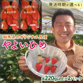 【ふるさと納税】 群馬県産いちごセット＜やよいひめ2パック＞【選べる発送時期】(各220g以上×2パック) いちご やよいひめ 群馬県産 オリジナル品種 苺 イチゴ セット 詰合せ 果物 フルーツ 食品 F21E-492