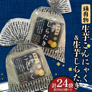 yӂ邳Ɣ[Łz ŕɂႭE炽(250g×12ܓ×2)×e1 F21E-499