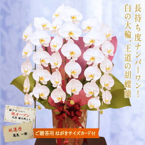 yӂ邳Ɣ[ŁzӒ (LO) 3{ s͂TCYJ[htt җ j I AC@J Vz@@̓@̓ ɐ@LO@Ε@  蕨 v