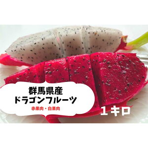 yӂ邳Ɣ[Łz 2025N7{菇 hSt[c (1kg)  ʕ t[c Hi F20E-514