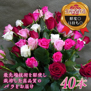 yӂ邳Ɣ[Łzỏԑ(40{) F20E-685
