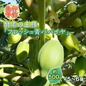 yӂ邳Ɣ[Łz s\ yf̉l tbV ppC v3kg (500g×5`6) ppC r^~ ~l A~m_ H@ |tFm[  Hi F20E-697