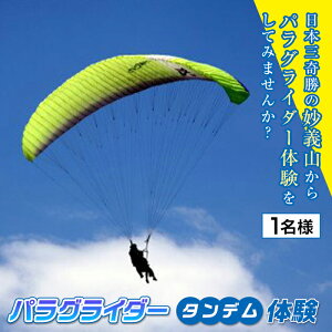 yӂ邳Ɣ[Łz s`XJCp[Nt pOC_[^f̌ (1l) `R pOC_[ ̌ tCg X|[c F20E-713