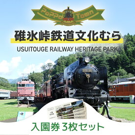 【ふるさと納税】碓氷峠鉄道文化むら入園招待券 3枚セット ANAE001 ／ チケット 入場券 送料無料 群馬県