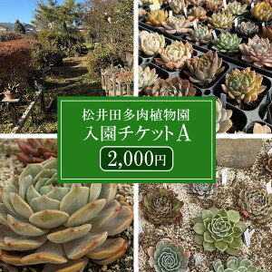 yӂ邳Ɣ[ŁzcA`PbgAi2,000~j ANAG002 ^ӂ邳Ɣ[ ϗtA  A c |bg K[fjO CeA 24l Zbg Qn s