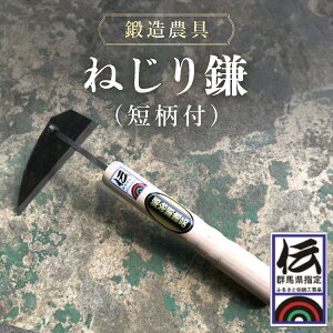 yӂ邳Ɣ[Łzb_ ˂芙iZtj ANF008^ _ J}  b  Qn