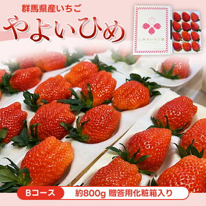 �y�ӂ邳�Ɣ[�Łz�yB�R�[�X�z�Q�n���Y�������u��悢�Ђ߁v��800g�@�����p���ϔ����� ANV002 �^ � �C�`�S �ʕ� �t���[�c �M�t�g �Q�n���������i�]���܁E���܎�� �������� �Q�n��