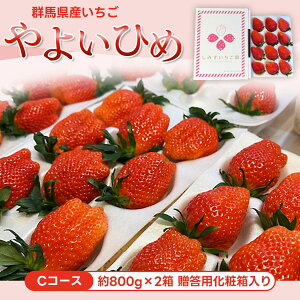 �y�ӂ邳�Ɣ[�Łz�yC�R�[�X�z�Q�n���Y�������u��悢�Ђ߁v��800g×2���@�����p���ϔ����� ANV003 �^ � �C�`�S �ʕ� �t���[�c �M�t�g �Q�n���������i�]���܁E���܎�� �������� �Q�n��