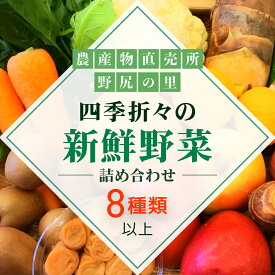 【ふるさと納税】四季折々の新鮮野菜詰め合わせ 旬をお届け! 【8種類以上】 ANAR007
