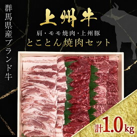 【ふるさと納税】上州牛肩・モモ焼肉・上州豚とことん焼肉セット ANP005／ 牛肉 肩ロース モモ 豚肉 上州牛 上州豚 焼肉 記念日 誕生日 父の日 母の日 お祝い ギフト 送料無料 群馬県 特産品