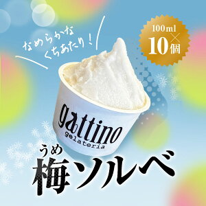 yӂ邳Ɣ[Łzgelateria gattino sHԔ~т̔~\x (V[xbg) 10 /ANBB005 V[xbg \x ~ ACX ~ACXACXN[ XC[c ӂ邳 lC