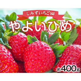 【ふるさと納税】No.347 【Aコース】群馬県産いちご「やよいひめ」約400g　贈答用化粧箱入り ／ 苺 イチゴ 果物 フルーツ ギフト 群馬県いちご品評会銀賞・銅賞受賞 送料無料 群馬県