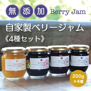 yӂ邳Ɣ[Łzy21zBerry Jam