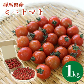 【ふるさと納税】【1】ミニトマト1kg